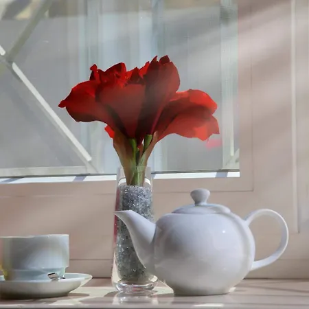 Lapillus Bed and breakfast Pompeya