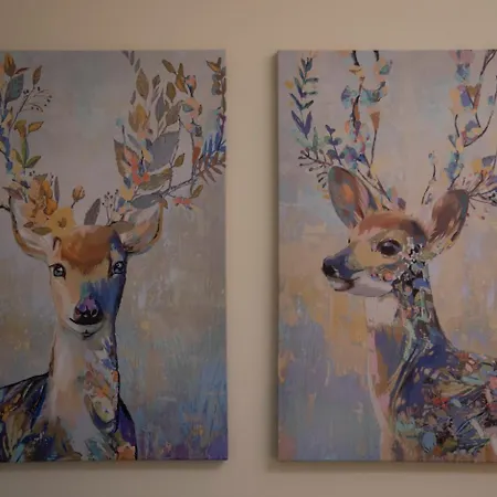 Lapillus Bed & Breakfast