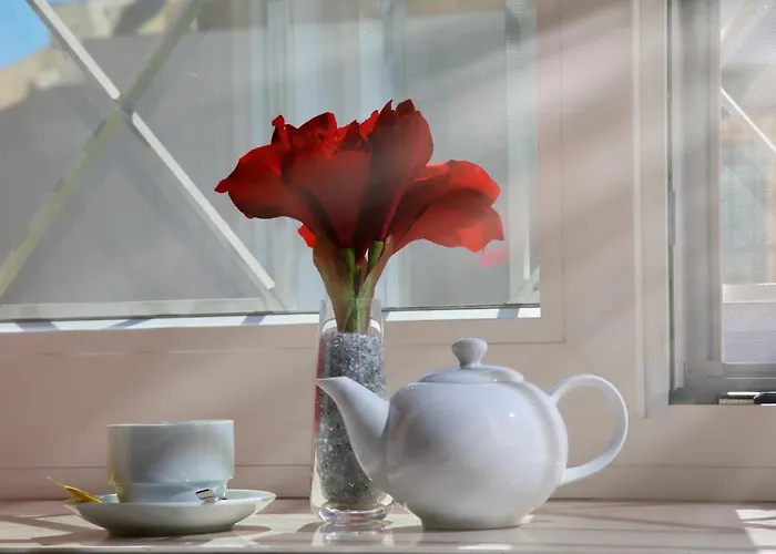 Lapillus Bed & Breakfast